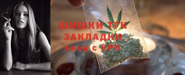 СК Богородск