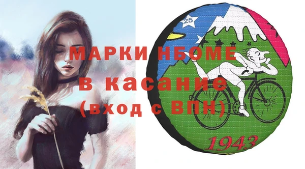 соль ск Богородицк