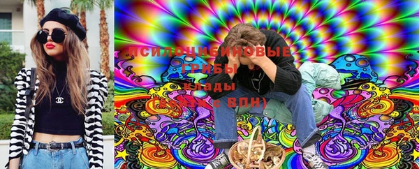 стафф Богданович