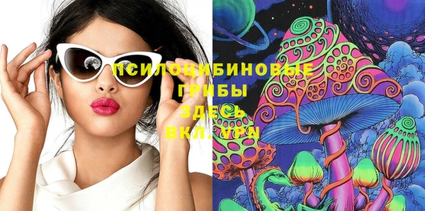 стафф Богданович