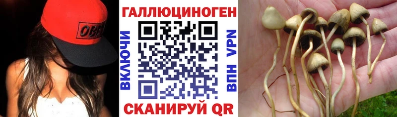Галлюциногенные грибы MAGIC MUSHROOMS  Кедровый 